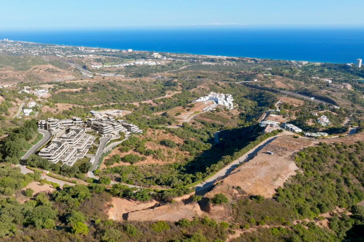 Med Blue - Image 3