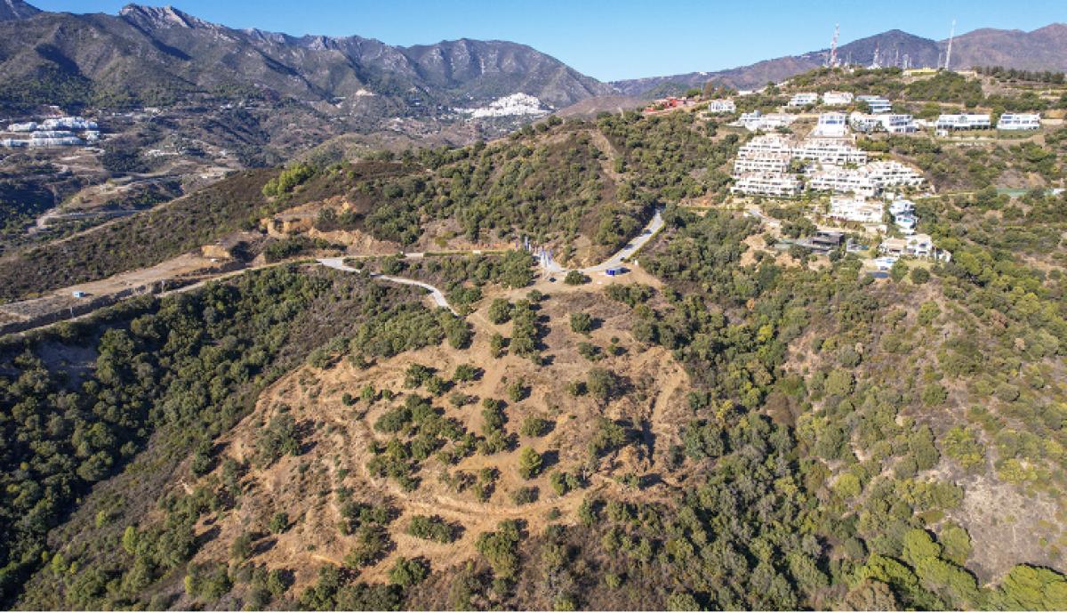 MEDBLUE MARBELLA - Image 12