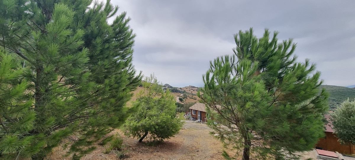 Finca - Cortijo - ID R3085945 - Image 10