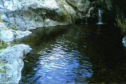 Finca - Cortijo - ID R3162982