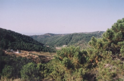 Finca - Cortijo - ID R3162982 - Image 10