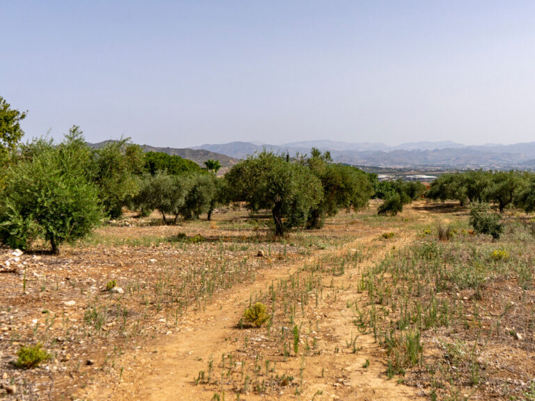 Residential Plot - ID R3221725