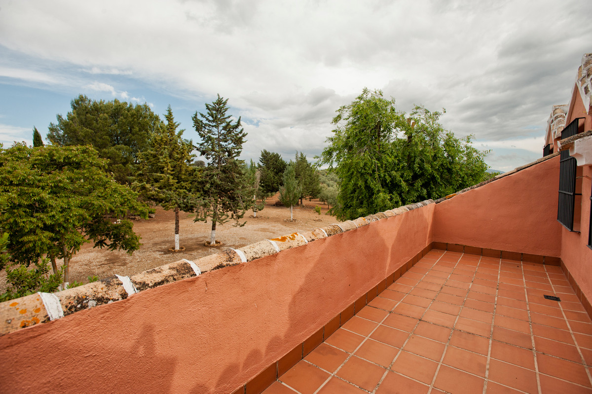 Finca - Cortijo - ID R3224398 - Image 3