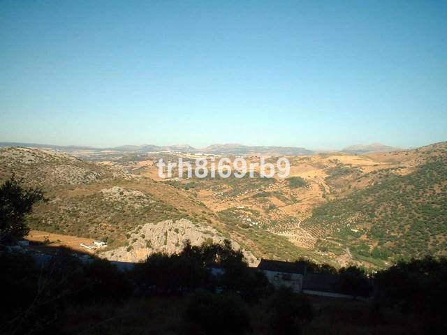 Olive Grove - ID R199057 - Image 2