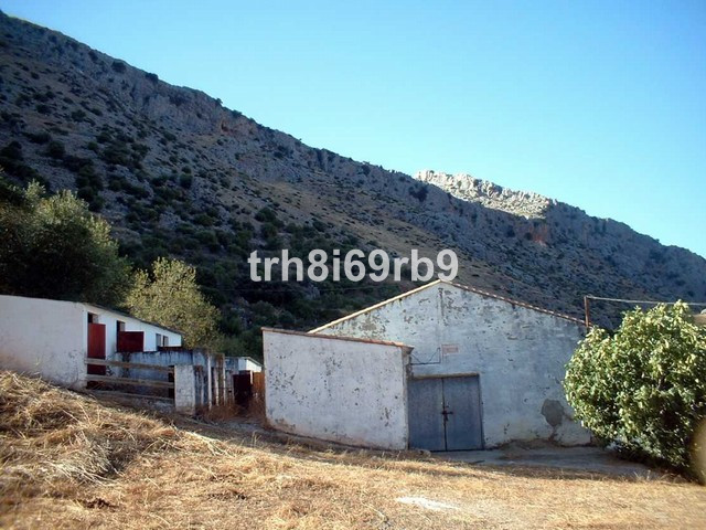 Olive Grove - ID R199057 - Image 3