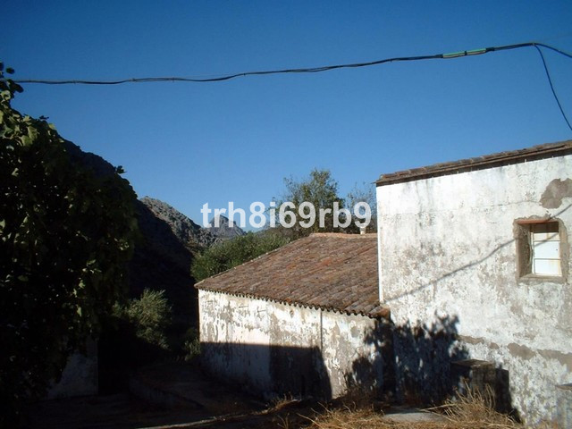 Olive Grove - ID R199057 - Image 8