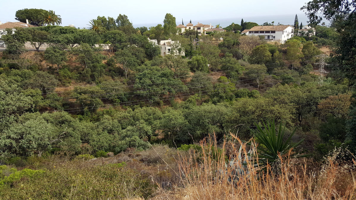 Residential Plot - ID R3412162 - Image 5