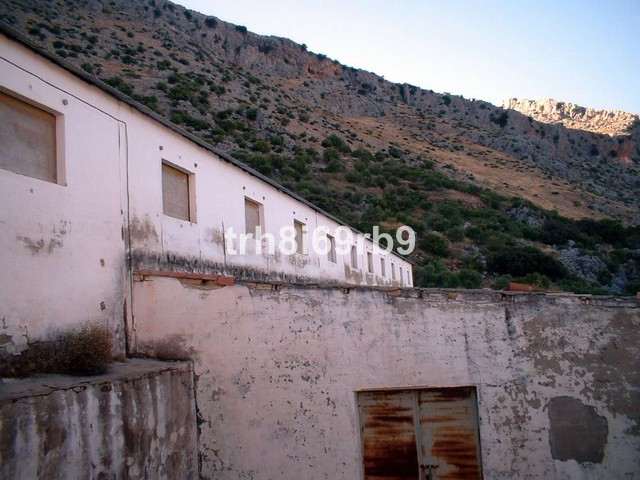 Olive Grove - ID R199057 - Image 9