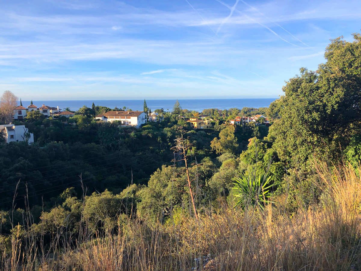 Residential Plot - ID R3464404 - Image 3