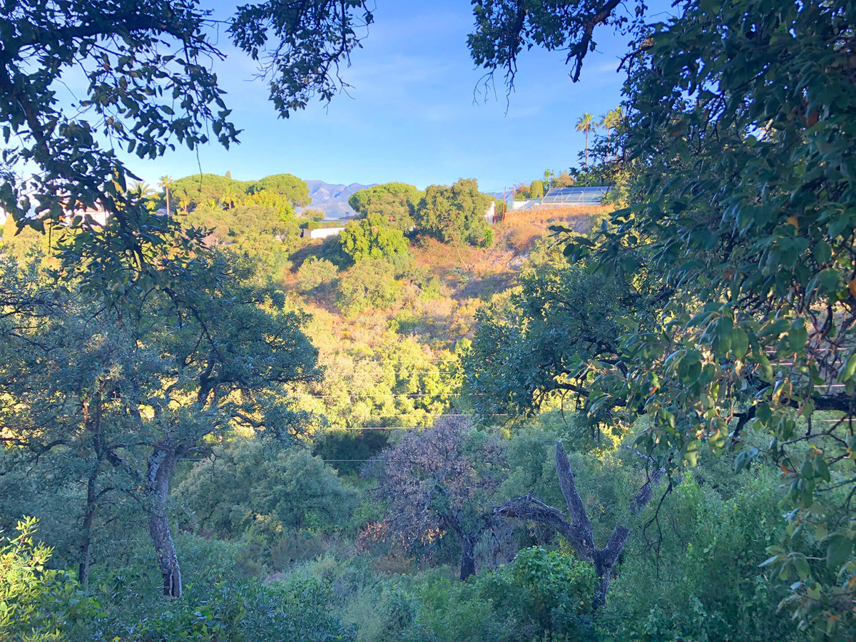 Residential Plot - ID R3464404 - Image 5