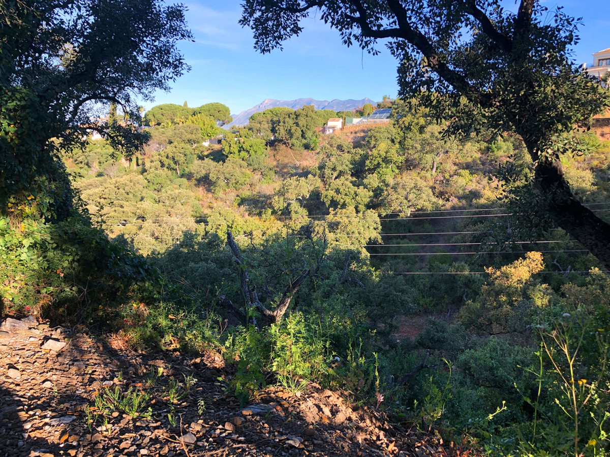 Residential Plot - ID R3464404 - Image 9