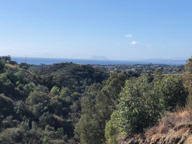 Residential Plot - ID R3550984