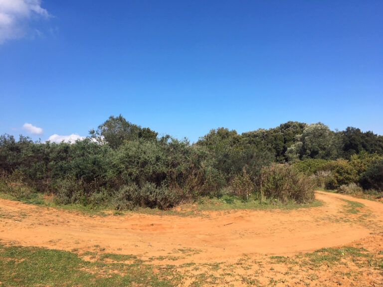 Land - ID R3568339