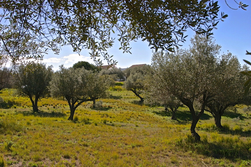 Detached Villa - ID R2171156 - Image 10