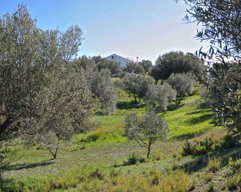 Detached Villa - ID R2171156 - Image 13