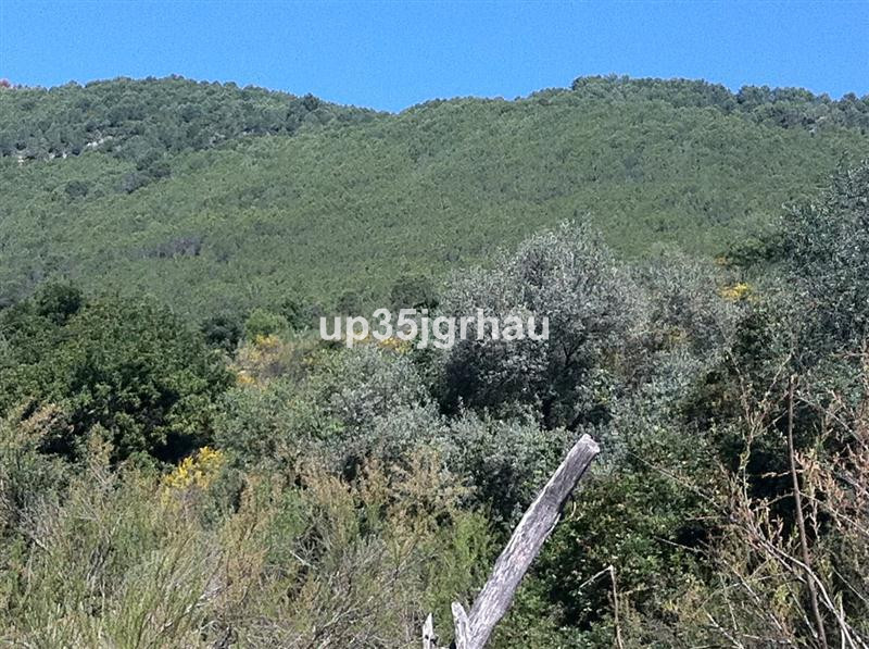 Land - ID R2187737 - Image 3