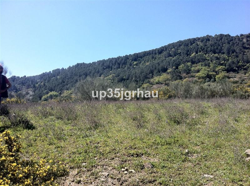 Land - ID R2187737 - Image 5