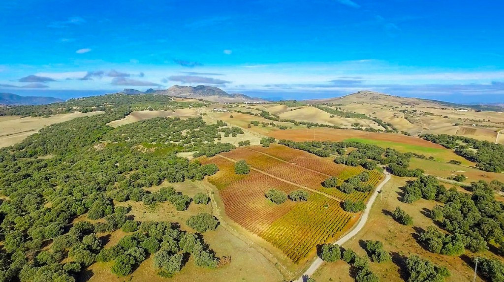 Finca - Cortijo - ID R2837321 - Image 11