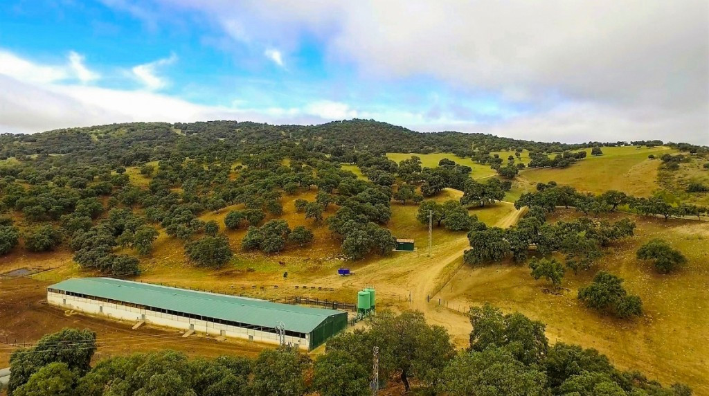 Finca - Cortijo - ID R2837321 - Image 15