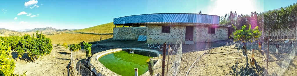 Finca - Cortijo - ID R2888972 - Image 8