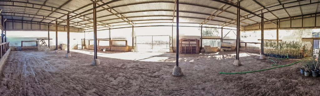 Finca - Cortijo - ID R2888972 - Image 9