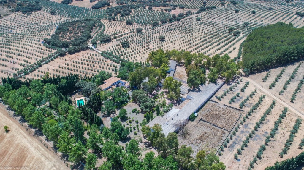 Finca - Cortijo - ID R2929520